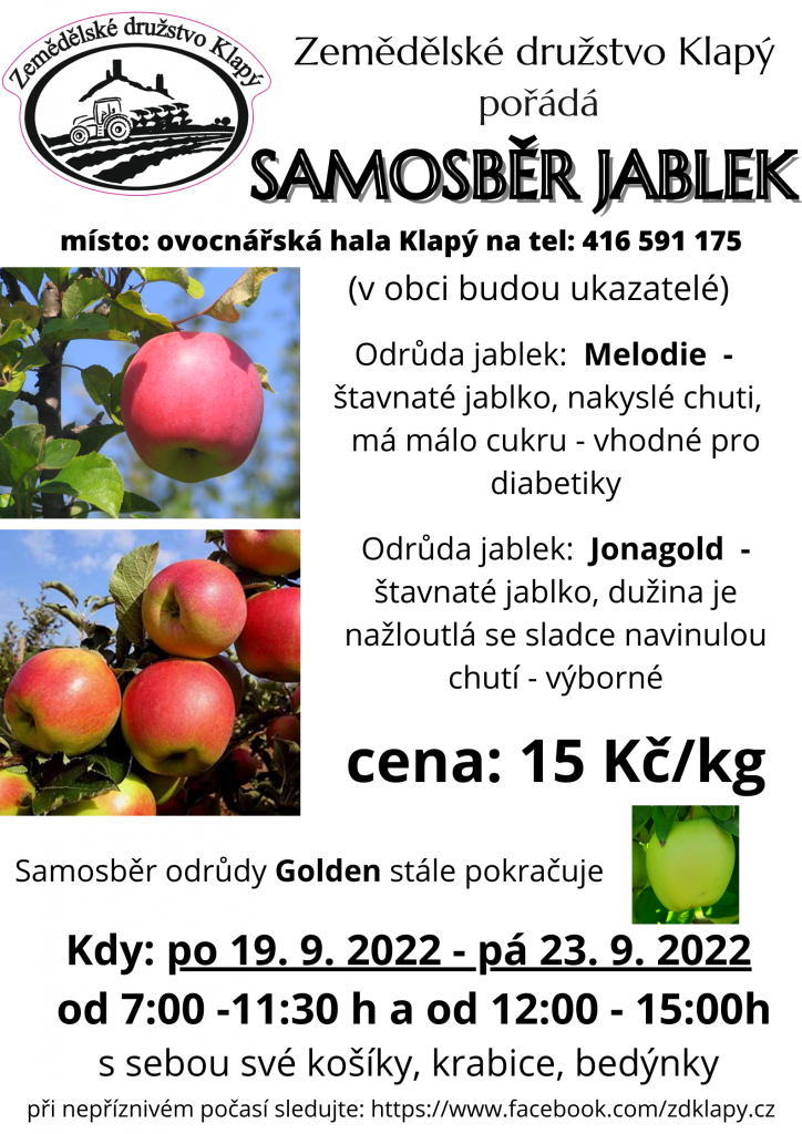 Samosběr jablek - Klapý